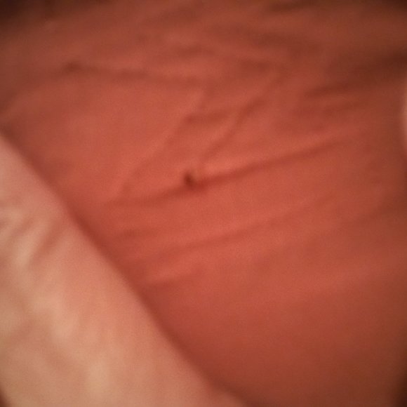 Size XL running/walking shorts - Picture 3 of 4